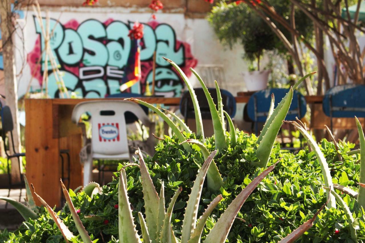 Hostel La Posada Gallo Arica Kültér fotó