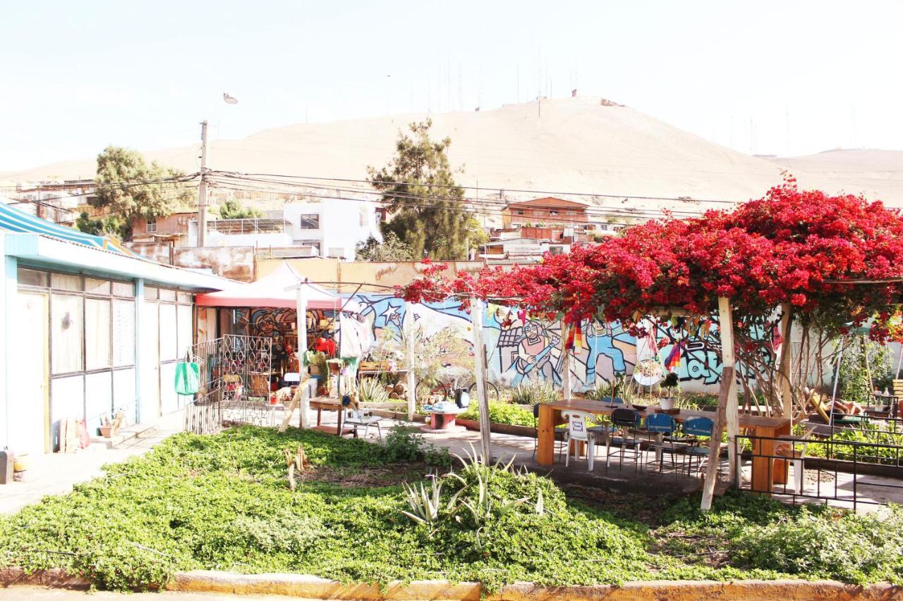 Hostel La Posada Gallo Arica Kültér fotó